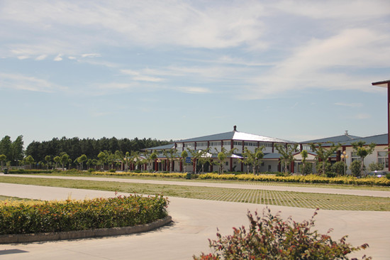 2013072661863585.jpg