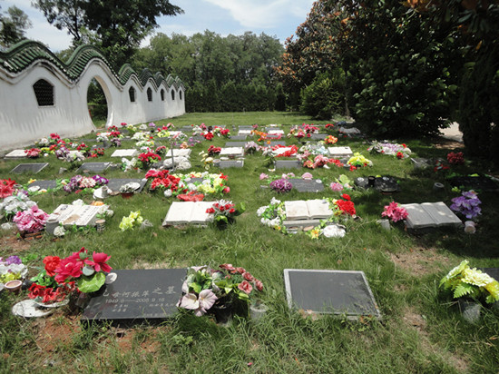 2013072662674753.jpg