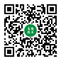 1719640018920829.jpg