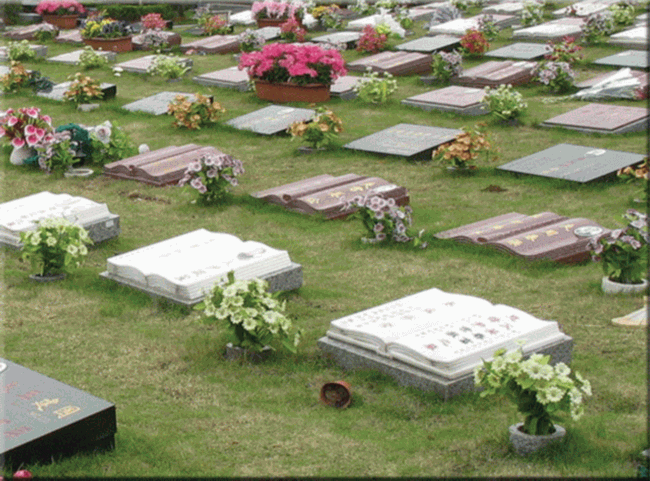 2012072465688565.970.gif